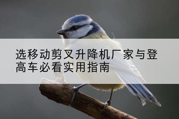 浦东新区电动升降机厂家-选移动剪叉升降机厂家与登高车必看实用指南