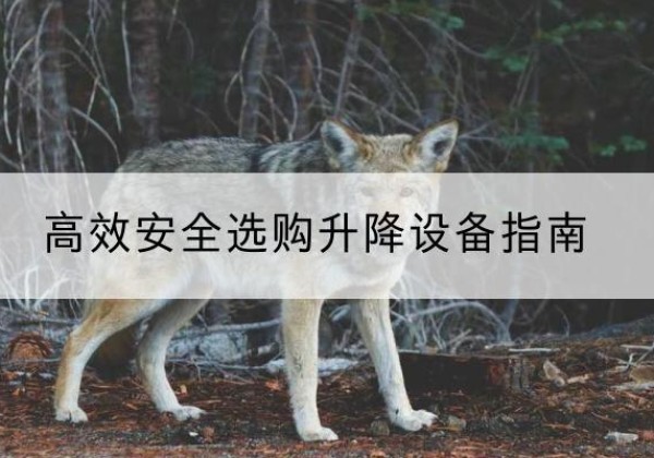 浦东新区升降货梯厂家推荐-*安全选购升降设备指南